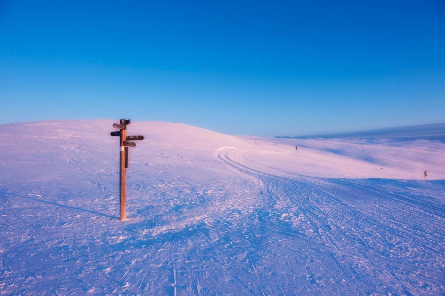 Spidsbergseter Resort Rondane Venabygd Εξωτερικό φωτογραφία