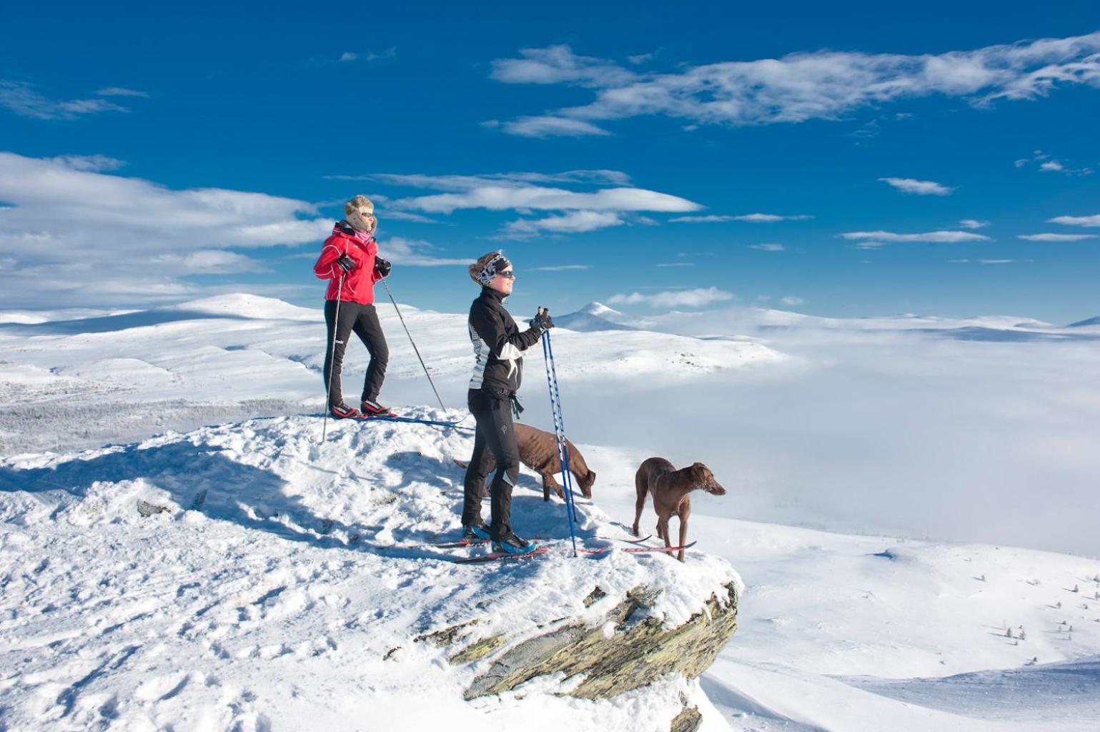 Spidsbergseter Resort Rondane Venabygd Εξωτερικό φωτογραφία