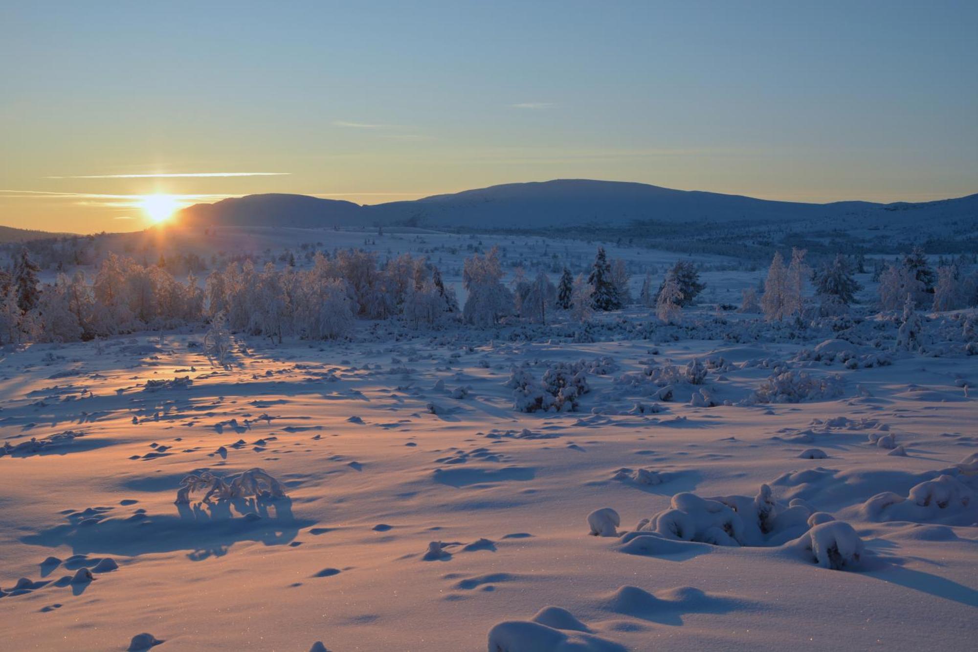 Spidsbergseter Resort Rondane Venabygd Εξωτερικό φωτογραφία