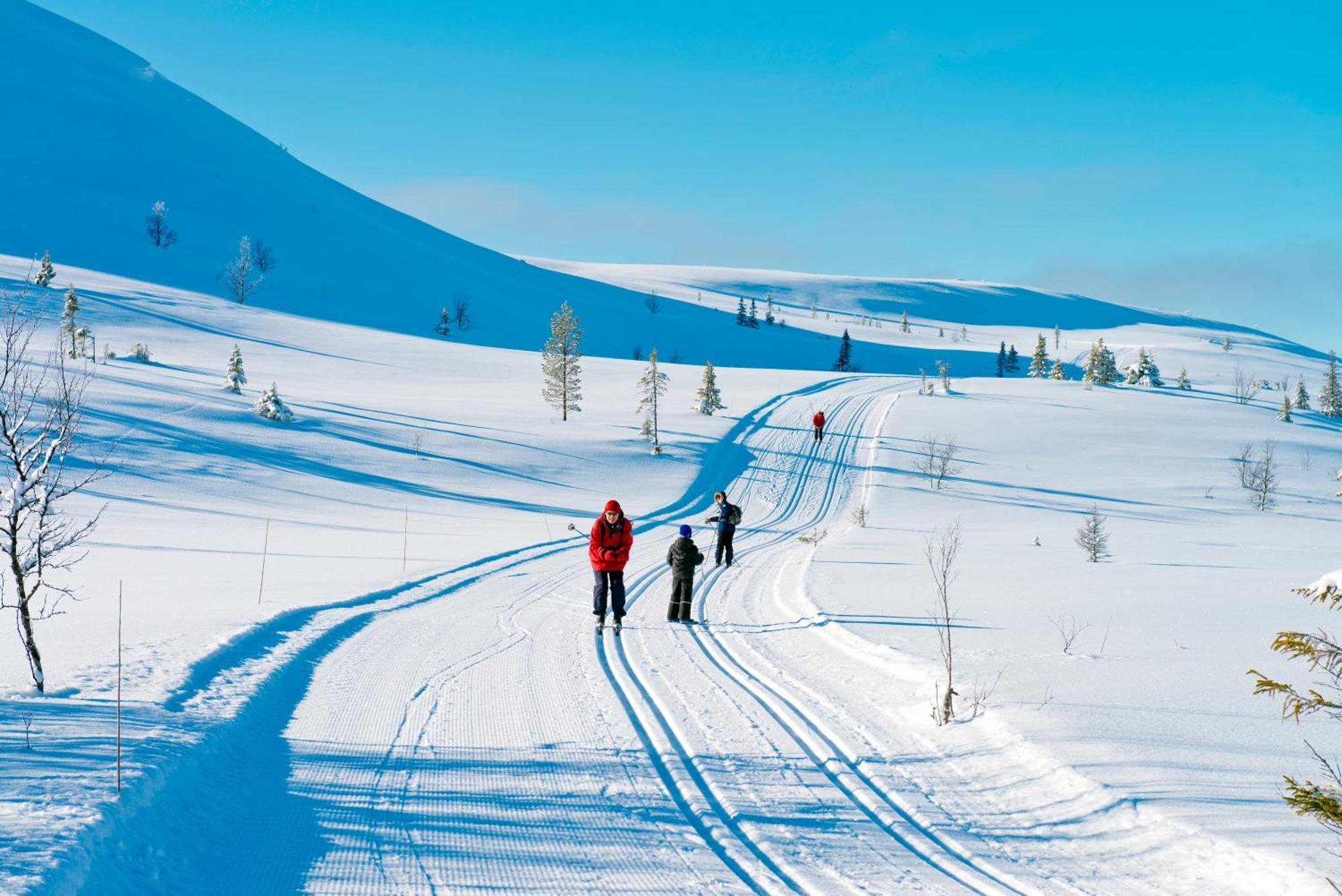 Spidsbergseter Resort Rondane Venabygd Εξωτερικό φωτογραφία