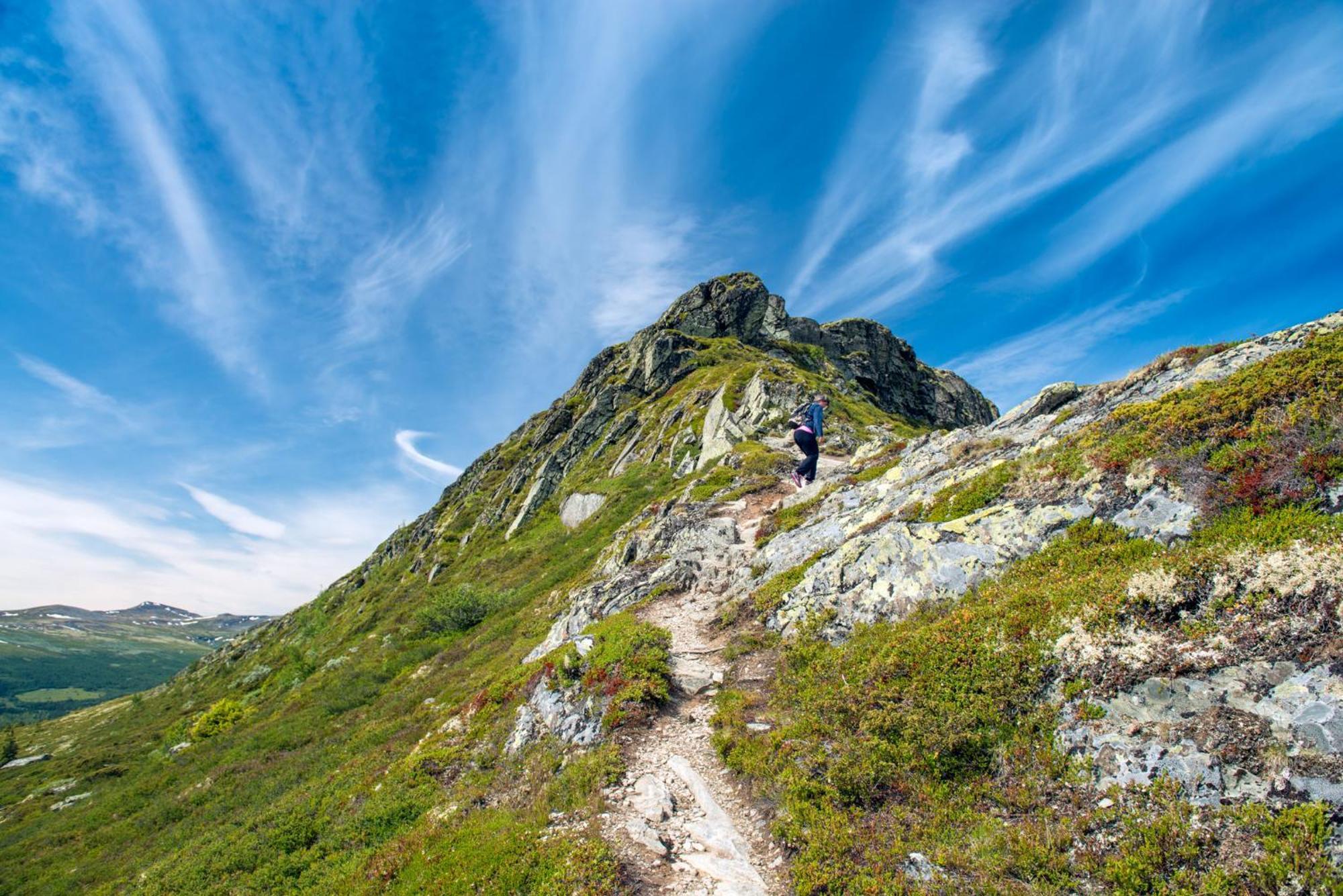 Spidsbergseter Resort Rondane Venabygd Εξωτερικό φωτογραφία