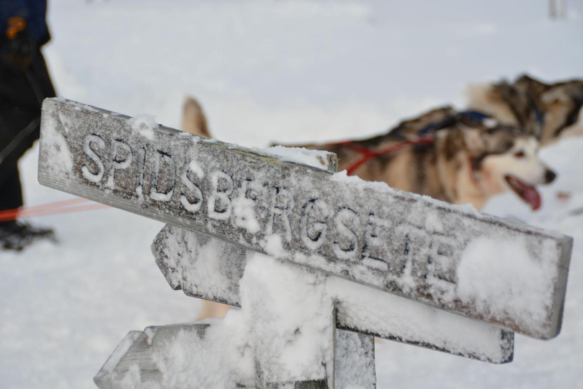 Spidsbergseter Resort Rondane Venabygd Εξωτερικό φωτογραφία