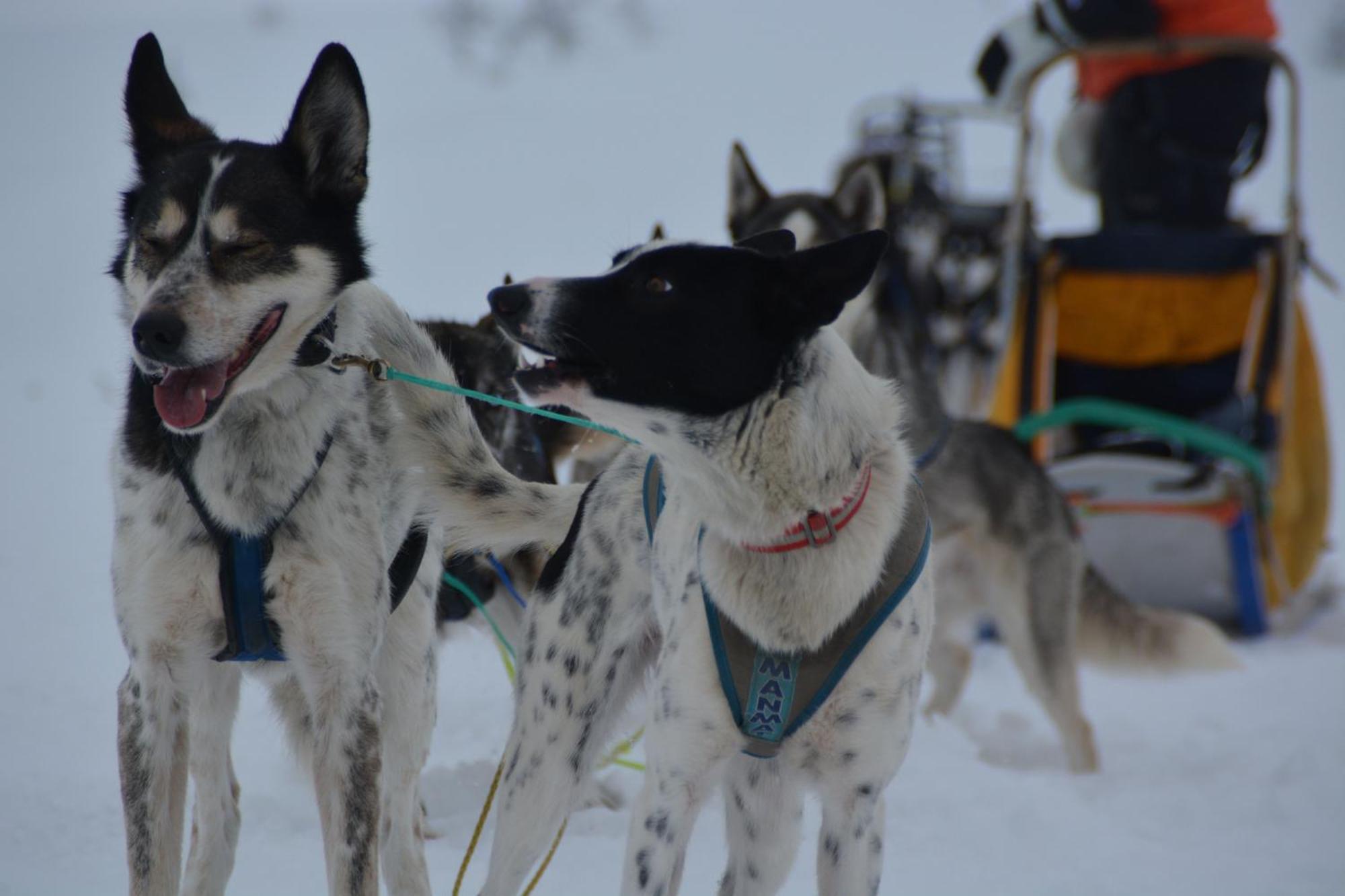 Spidsbergseter Resort Rondane Venabygd Εξωτερικό φωτογραφία