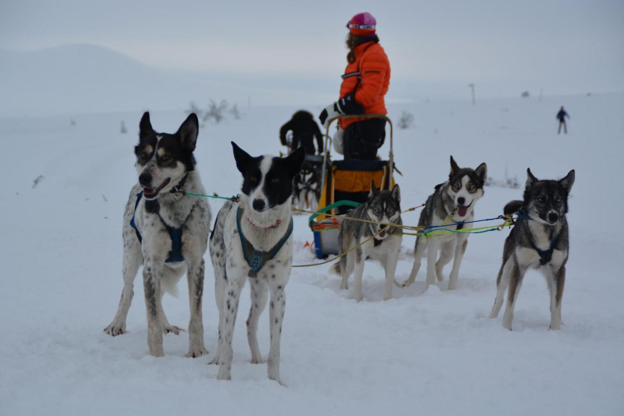 Spidsbergseter Resort Rondane Venabygd Εξωτερικό φωτογραφία